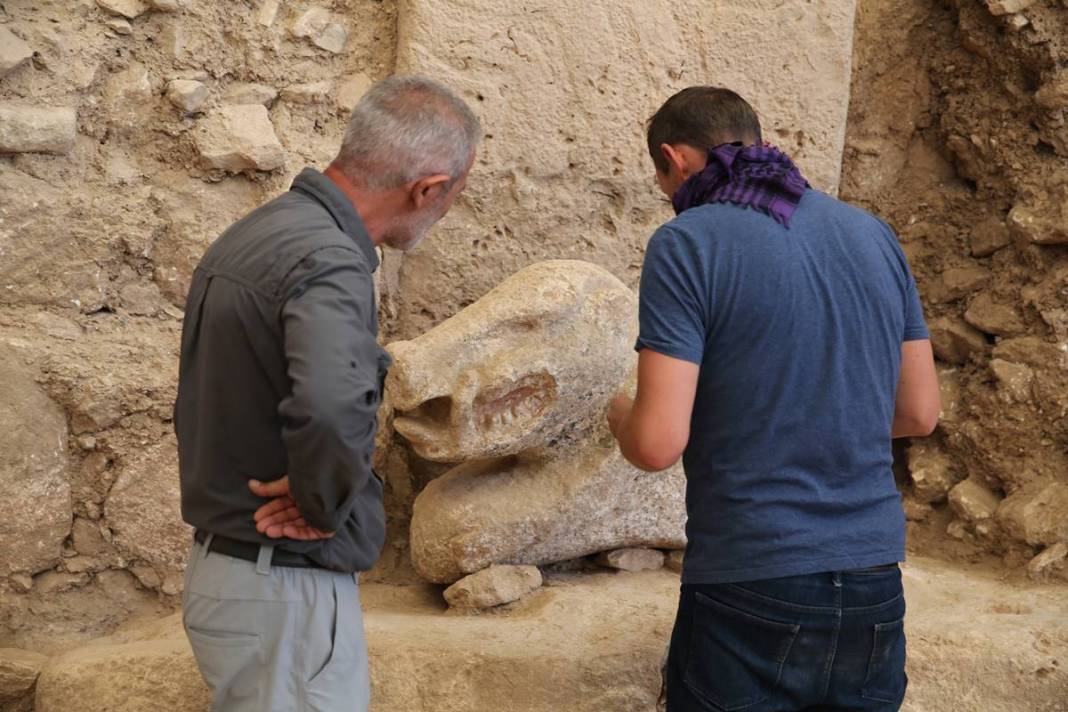Göbelitepe'de heyecanlandıran keşif: Dünyanın en eskisi ilk kez ülkemizde bulundu! Tarih öncesi sanatın en etkileyici örneği 12